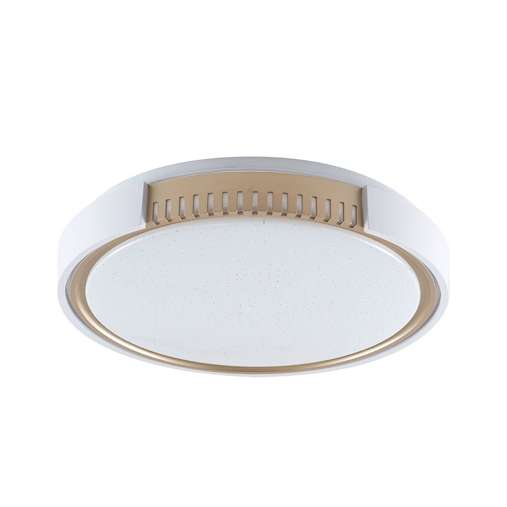 Plafon Young LED 24W Temperatura Ajustável